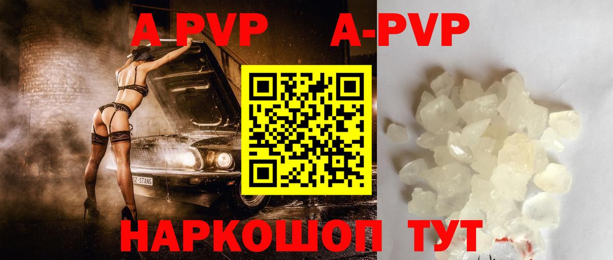 Альфа ПВП СК КРИС Кимры
