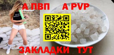 эйфоретик Кингисепп