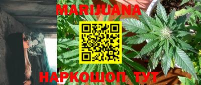 крисы Кинель