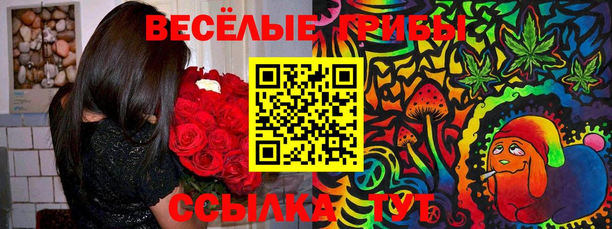 Псилоцибиновые грибы Magic Shrooms  Вход с VPN  Кимры 